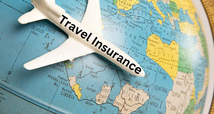 Self vs airline cancellation: Know what your travel insurance policy ...