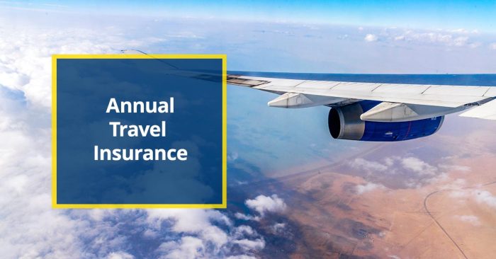 Travel Insurance by Starr | Get a Quote and Buy Travel Insurance by Starr | Get a Quote and Buy