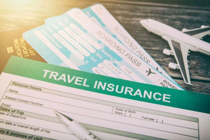 All You Need to Know about Travel Insurance for Flight Journey All You Need to Know about Travel Insurance for Flight Journey
